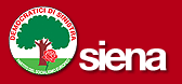 Democratici di Sinistra - Siena